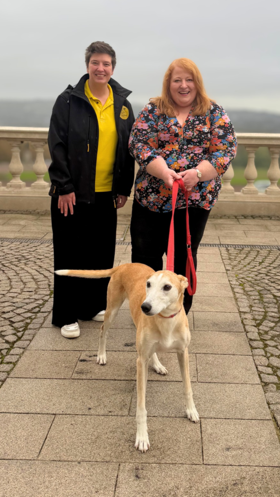 Justice Minister Naomi Long with Dogs Trust representative Laura Orr and rescue dog Amber discussing Halloween fireworks and pet welfare